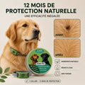 Pendentif anti puces et tiques 100% naturel
