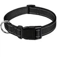 Collier Offert