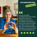 Pendentif anti puces et tiques 100% naturel