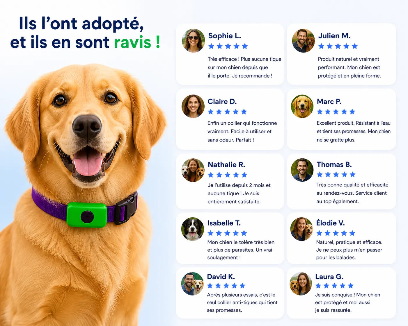 Avis clients