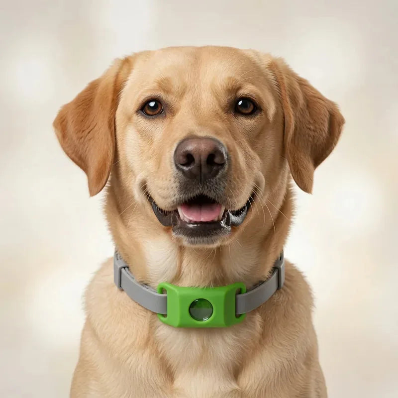 Chien avec pendentif naturel